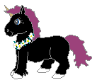 Nuri the unicorn