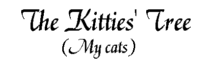 My cats